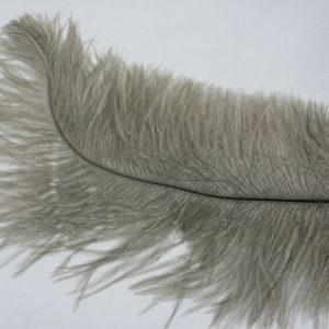 Ostrich Plumes